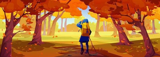 Hiker with backpack walk in autumn forest vector