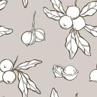 Macadamia seamless pattern. Branch with leaves and shelled nuts. Hand drawn background design in grey brown and white colors. Vector illustration.