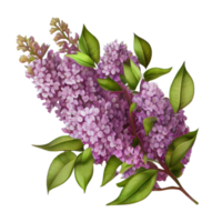 Strauß von Blumen auf ein transparent Hintergrund. Blumen- Anordnung. . zum Aufkleber, Einladungen, Gruß Karten, Hochzeit Karte, Dekorationen. png