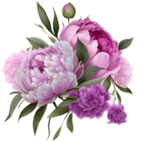 Bouquet of peonies on a transparent background. Png file. Floral arrangement