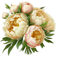 Bouquet of peonies on a transparent background. Png file. Floral arrangement