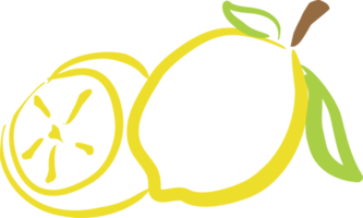 Lemon line art png