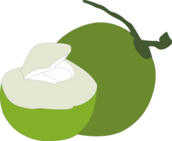 Coconut fruit PNG