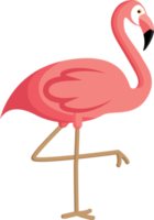 em pé flamingo ilustração png