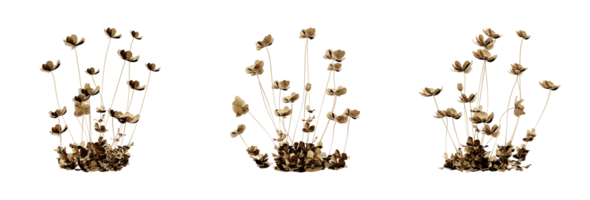 Design of a stylish and gorgeous golden plant. Ideal for adding a luxurious touch to your projects. PNG file with high transparency. 3d render