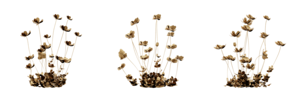 conception de une élégant et magnifique d'or plante. idéal pour ajouter une luxueux toucher à votre projets. png fichier avec haute transparence. 3d rendre