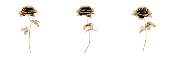 A stunning 3D rendering of a golden plant that will add richness and elegance to any design. This gold plant has a metallic finish and natural-looking leaves, making it ideal for any botanical png