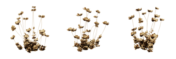 Design of a stylish and gorgeous golden plant. Ideal for adding a luxurious touch to your projects. PNG file with high transparency. 3d render