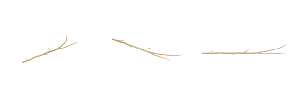 This stunning and realistic 3D render of a golden twig, wood, or stump will add a touch of luxury and refinement to your designs. This golden twig wood stump with a bright metallic finish png