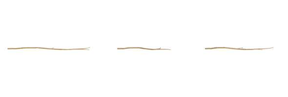 This stunning and realistic 3D render of a golden twig, wood, or stump will add a touch of luxury and refinement to your designs. This golden twig wood stump with a bright metallic finish png