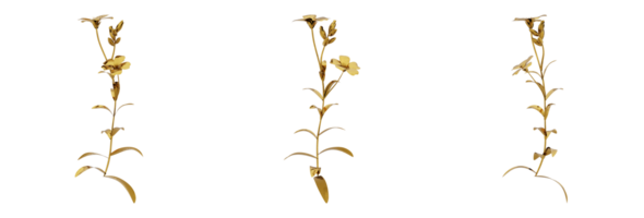 A stunning 3D rendering of a golden plant that will add richness and elegance to any design. This gold plant has a metallic finish and natural-looking leaves png