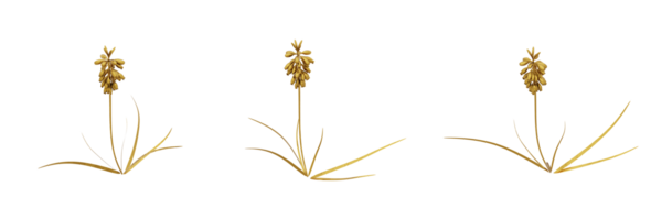 A stunning 3D rendering of a golden plant that will add richness and elegance to any design. This gold plant has a metallic finish and natural-looking leaves png