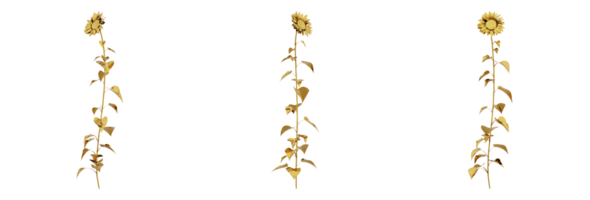 A stunning 3D rendering of a golden plant that will add richness and elegance to any design. This gold plant has a metallic finish and natural-looking leaves png