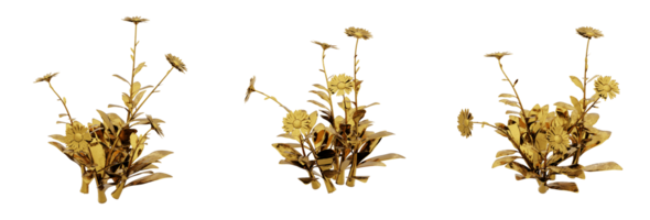 A stunning 3D rendering of a golden plant that will add richness and elegance to any design. This gold plant has a metallic finish and natural-looking leaves png