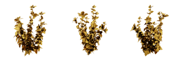 A stunning 3D rendering of a golden plant that will add richness and elegance to any design. This gold plant has a metallic finish and natural-looking leaves png