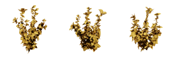 A stunning 3D rendering of a golden plant that will add richness and elegance to any design. This gold plant has a metallic finish and natural-looking leaves png