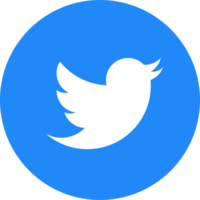 Twitter logotyp ikon png