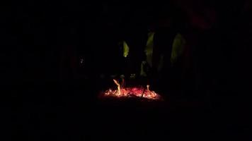 Winter Nacht Lagerfeuer Party 4k Video. flammend oben und geben Mehr Heu zu das Feuer mit ein Stock. klein Lagerfeuer Flamme 4k Filmaufnahme. das hell Flamme von ein Verbrennung Lagerfeuer auf ein dunkel Hintergrund. video