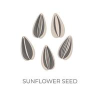 Sunflower Seed Kuaci Kwaci Vector Illustration Logo