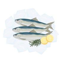 Fresco sardina pescado vector ilustración logo en hielo