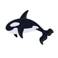 Cartoon killer whale isolated. Cute whale. Killer whale sea animal. vector