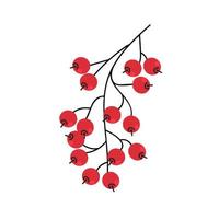 Berry Branch Illustration vector