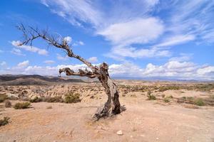 Scenic rural landscape photo