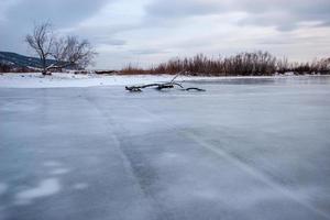 un río con congelado agua y antiguo pistas desde el coche. un árbol congeló dentro el hielo. en el apuntalar de el nieve, nublado. foto