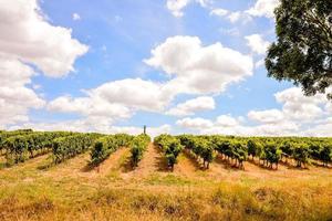 Scenic rural landscape photo