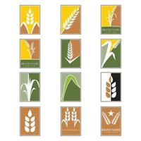 diseño de icono de vector de trigo de agricultura