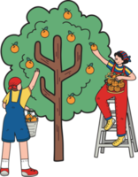 Farmers are picking fruit from trees illustration in doodle style png