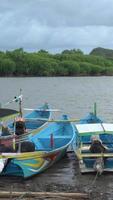 vertikal video av fiske båtar med mangrove och molnig himmel i de bakgrund