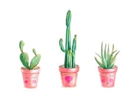 Set of three Watercolor Cactus isolated on white background. Vector hand drawn illustration of house plants. Good for labels, stickers, greeting cards, wrapping and other botanical design.