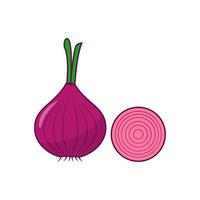 Onion vector illustration in cartoon style