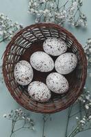 Pastel Easter eggs background. Spring greating card. Easter eggs in basket photo