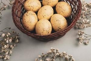 Pastel Easter eggs background. Spring greating card. Easter eggs in basket photo
