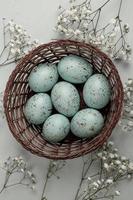 Pastel Easter eggs background. Spring greating card. Easter eggs in basket photo
