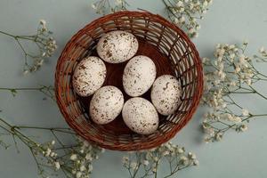 Pastel Easter eggs background. Spring greating card. Easter eggs in basket photo
