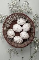Pastel Easter eggs background. Spring greating card. Easter eggs in basket photo