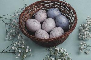 Pastel Easter eggs background. Spring greating card. Easter eggs in basket photo