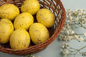 Pastel Easter eggs background. Spring greating card. Easter eggs in basket photo