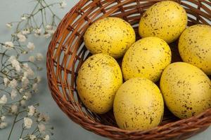 Pastel Easter eggs background. Spring greating card. Easter eggs in basket photo