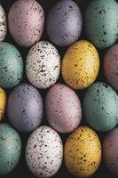 Pastel Easter eggs background. Spring greating card. Easter eggs in basket photo