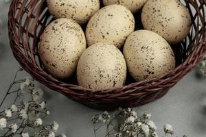 Pastel Easter eggs background. Spring greating card. Easter eggs in basket photo