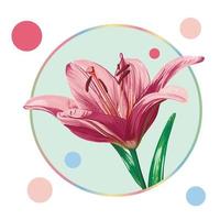 Pink lily flower in a round frame with colorful peas. Green leaves, open buds, closed buds, pink flowers. Realistic vector graphics