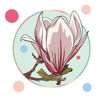 pink magnolia flower, isolated in a turquoise circle on a white background with colorful dots. green leaves, open buds, closed buds, pink flowers. vector illustration