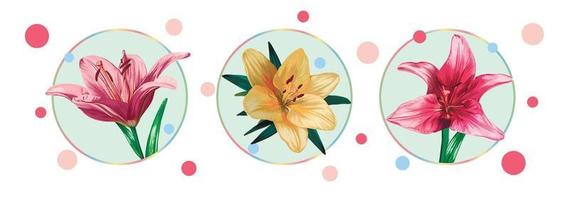 Set of cards with lily flowers isolated in a green circle on a white background with colorful dots. Green leaves, buds, yellow and pink flowers. Vector illustration. Vintage