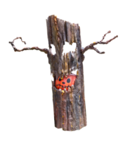 Halloween pumpkin in tree isolated png