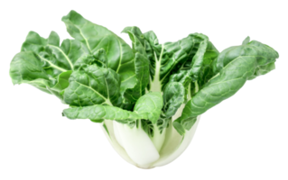 pak choi isolerat png