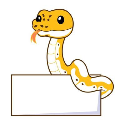 Cute pastel ivory ball python cartoon with blank sign